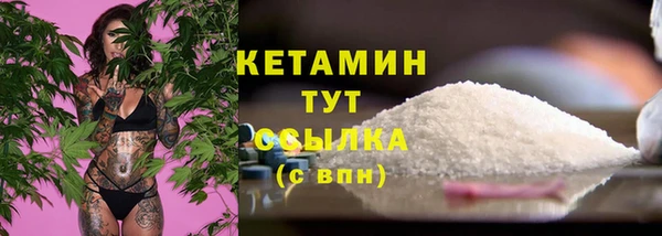 прущие грибы Абаза