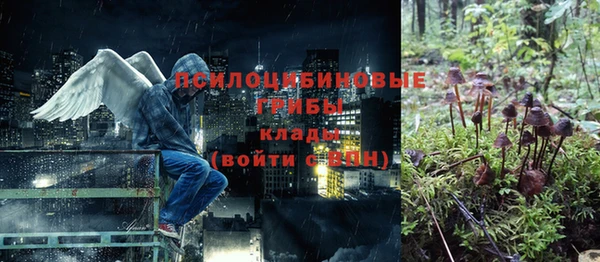 прущие крисы Абинск