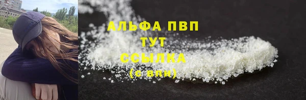 прущие грибы Абаза