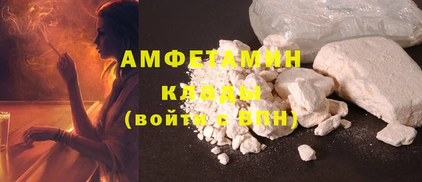 прущие грибы Абаза