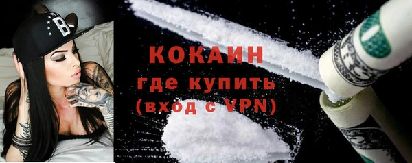 прущие грибы Абаза