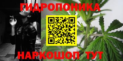 молекула духа Гай