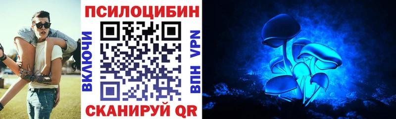 Галлюциногенные грибы MAGIC MUSHROOMS  купить   Ефремов 
