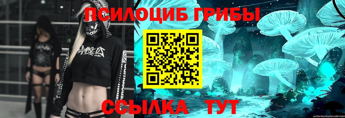 Ефремов  Псилоцибиновые грибы Cubensis  Вход с VPN  Псилоцибиновые грибы MAGIC MUSHROOMS 