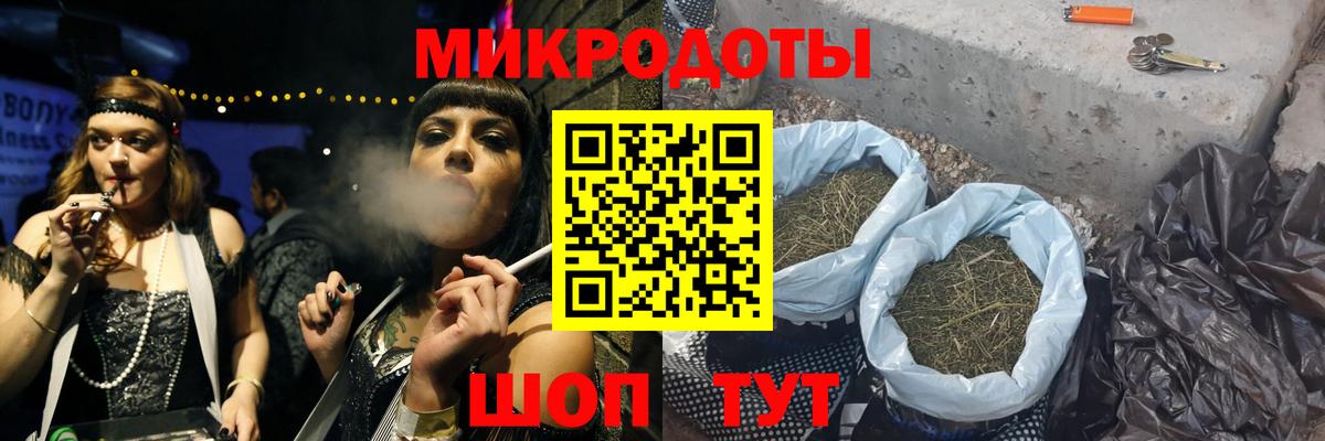 Галлюциногенные грибы Psilocybe Ефремов